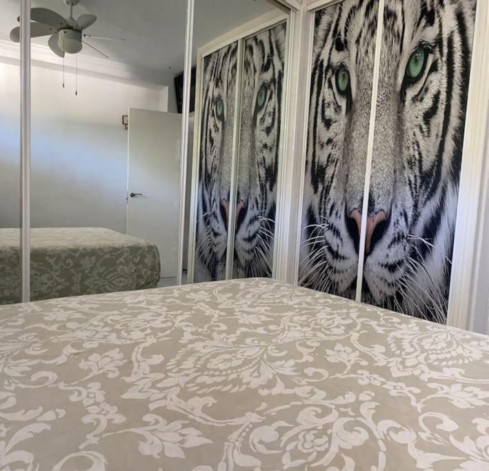토레몰리노스 Apartamento Linda 아파트 외부 사진