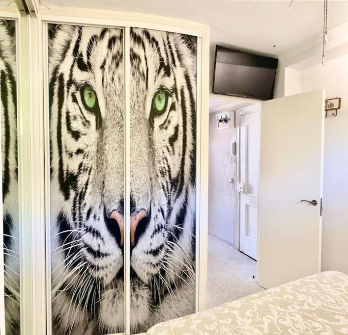 토레몰리노스 Apartamento Linda 아파트 외부 사진